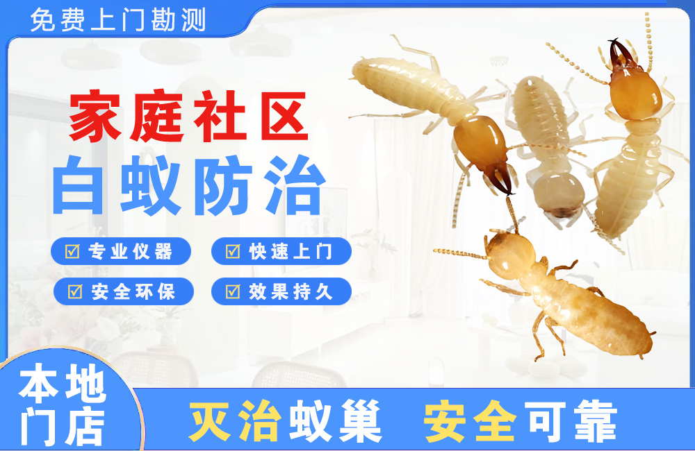 绍兴家庭社区白蚁防治