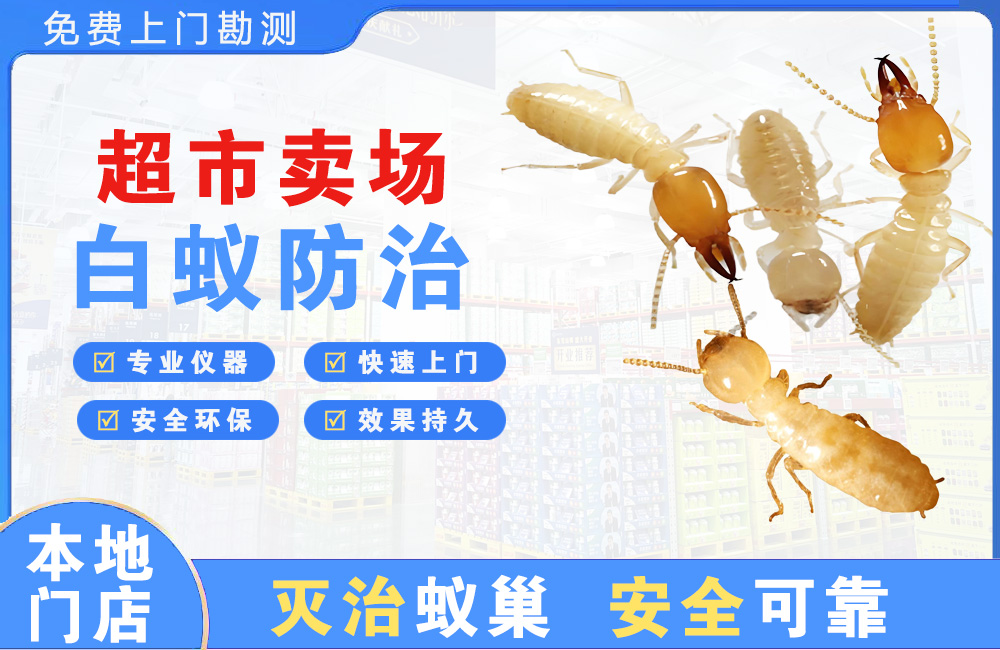 绍兴超市卖场白蚁防治