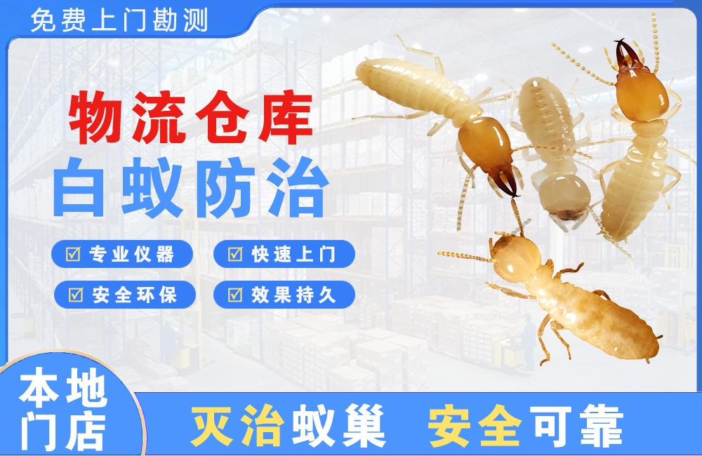 绍兴物流仓库白蚁防治