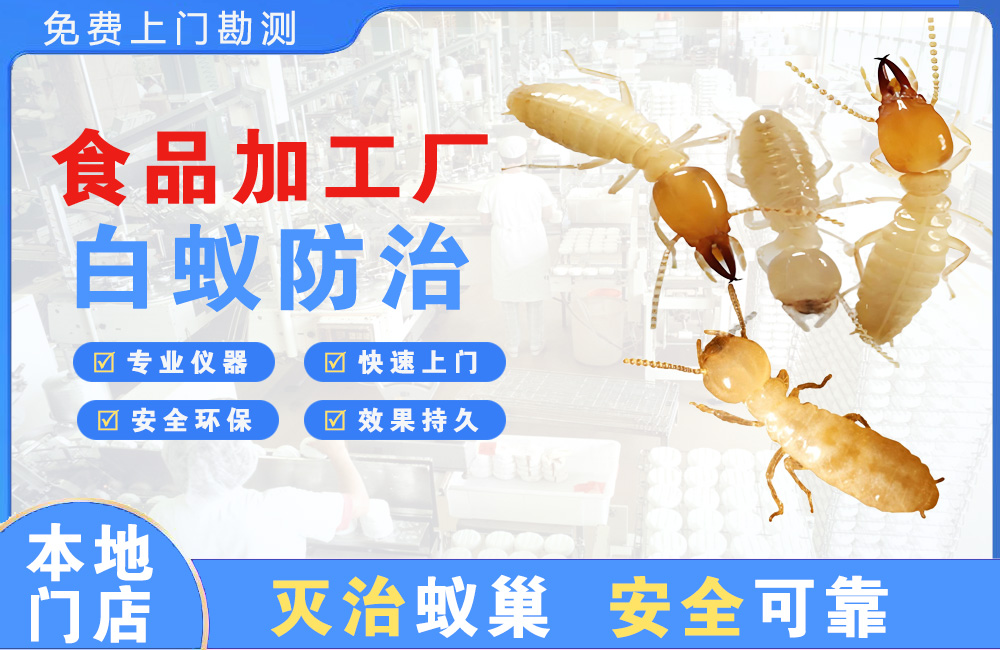 绍兴食品加工厂白蚁防治
