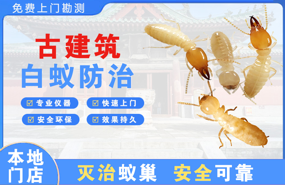 绍兴古建筑白蚁防治