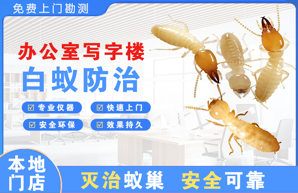 绍兴办公室写字楼白蚁防治