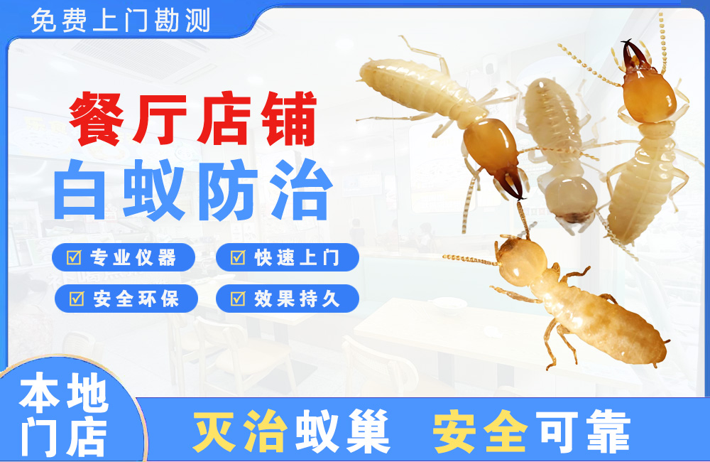 绍兴餐厅店铺白蚁防治